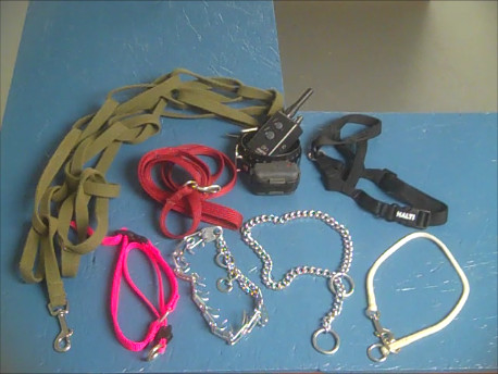 Dog shop training items