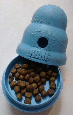 stuffing kong with kibble